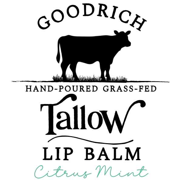 Citrus Mint Lip Balm